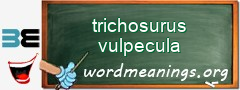 WordMeaning blackboard for trichosurus vulpecula